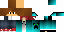 Texture for shayan