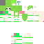 Texture for Shaymin Girl Sky Form
