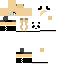 Texture for Ruby the games