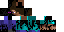 Texture for endersteve