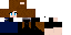 Texture for Polly