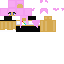 Texture for PinkAintLit