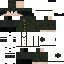 Texture for Juno