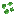 Texture for Green beetroot seeds 