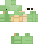 Texture for turtle