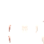 Texture for 55555