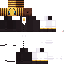 Texture for Fancy_bee