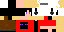 Texture for /Ender/