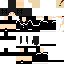 Texture for マイクラスキン