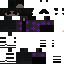 Texture for PURPUR