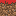 Texture for Test