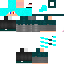 Texture for Flapper