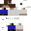 Texture for Van4a