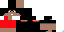 Texture for Luk2Sas