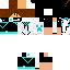 Texture for steve