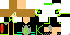 Texture for kong