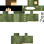 Texture for dino