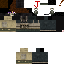 Texture for Lion