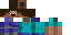 Texture for Steve creeper
