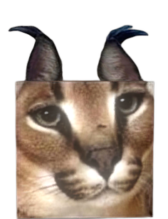 Texture for Floppa Cube