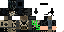 Texture for WS(2)