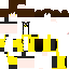 Texture for xion