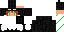 Texture for ender girl