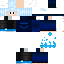 Texture for FlashR