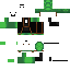 Texture for turlte