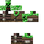 Texture for creeper BOY