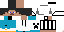 Texture for Minecrafter