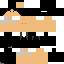 Texture for Ninja