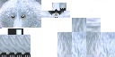Texture for Spirit Bear