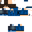 Texture for NERD3113