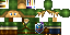 Texture for Link