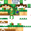 Texture for LINK