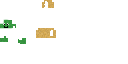 Texture for Turtle