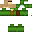 Texture for HirroTurtle