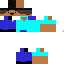 Texture for STEVEC3L0
