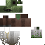 Texture for Swag