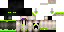 Texture for Endermannn