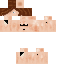 Texture for SIP
