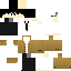 Texture for coat2