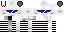 Texture for Jailed Stig
