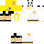 Texture for bug