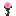 Texture for allium.png