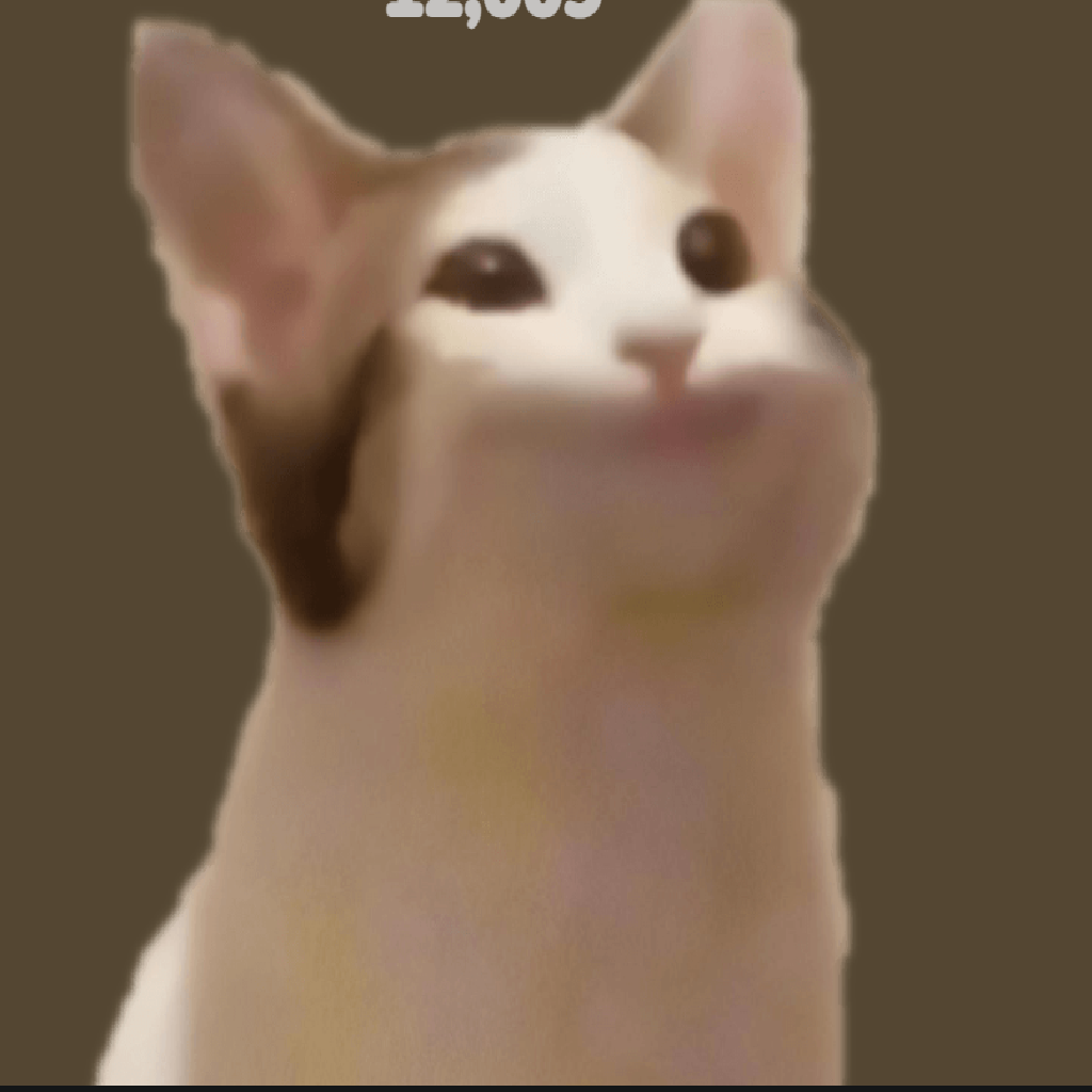 Texture for Cat