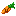 Texture for carrot