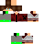 Texture for steve