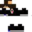 Texture for leo